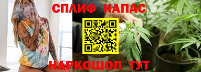 прущие грибы Пенза