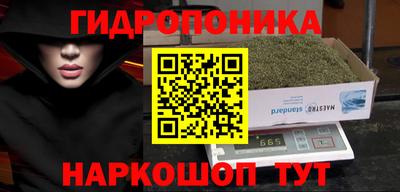 прущие грибы Пенза