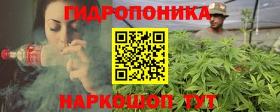 прущие грибы Пенза