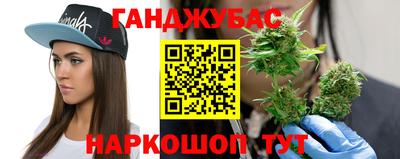прущие грибы Пенза