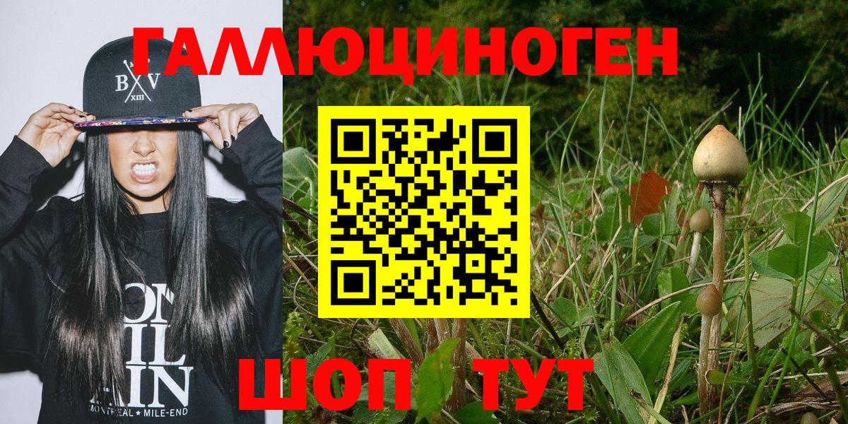 Дагестанские Огни  Псилоцибиновые грибы Cubensis  Псилоцибиновые грибы Magic Shrooms  продажа наркотиков  Вход с VPN 