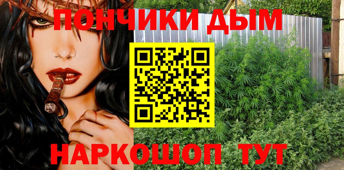 Бошки марихуана VHQ Дагестанские Огни